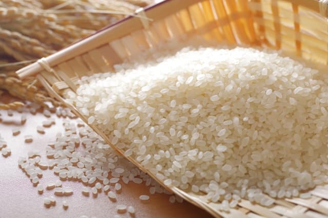 59％以上節約 令和5年愛媛県産「みどり糯」 もち籾 9kg 穀類